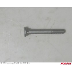 šroub M 12x100Terrano FX 12.9 00310075