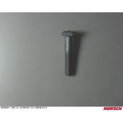 šroub M 12x60 12,9 00360037